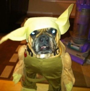 Meet your Posher, Jamie